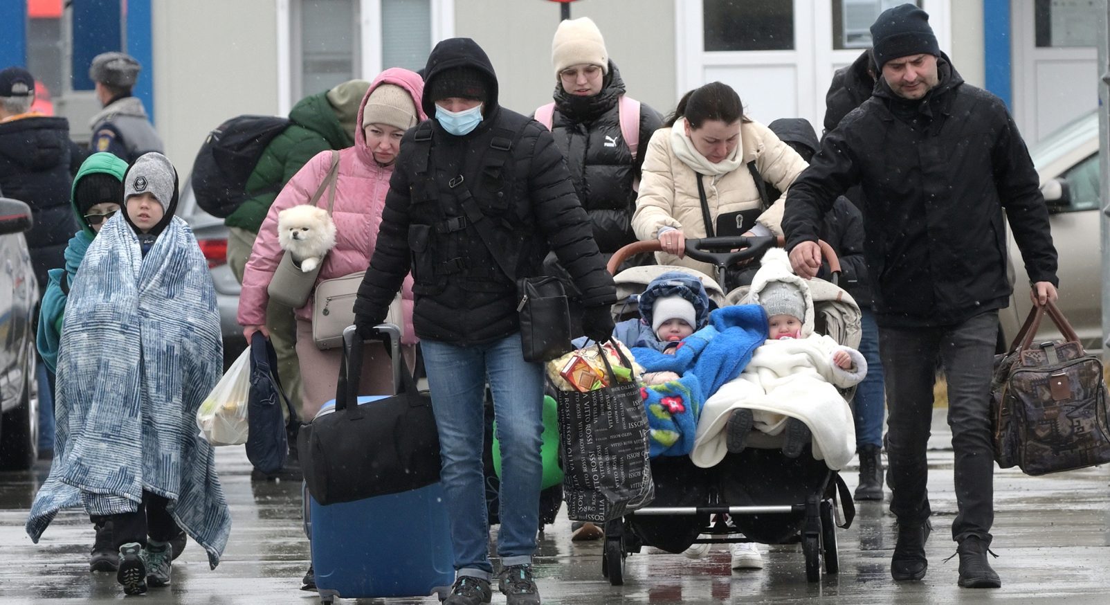 flyktingar ukraina